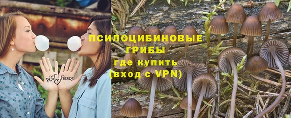PSILOCYBIN Алзамай