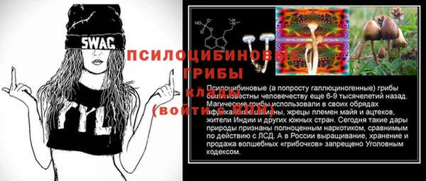 PSILOCYBIN Алзамай
