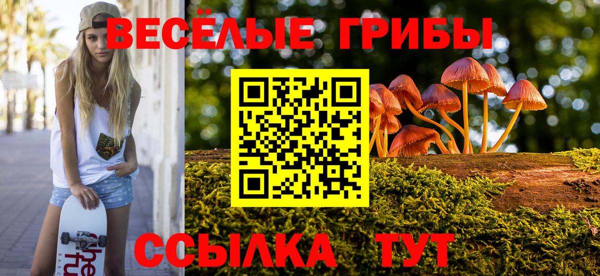 Татарск  Псилоцибиновые грибы мицелий  Вход с VPN  Галлюциногенные грибы Magic Shrooms 